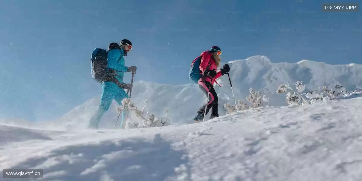 ⚽ 热血赛事，激情一触即发！